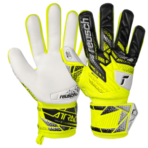 Attrakt Grip Free Shipping View