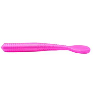 Holey Worms - Pearl Pink Collections Online