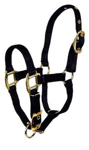 3/4" Deluxe Nylon Halters with Adjustable Chin Strap 2025 New Sale Online