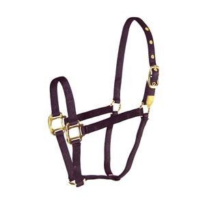 3/4" Arabian Deluxe Nylon Halters Best Pices Cheap Pice