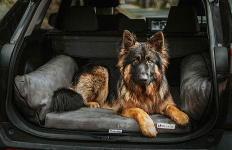 Barker SUV Bed 2025 Newest