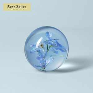 Bleu Paperweight, Blue Cheap Factory Outlet