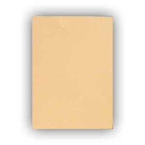 90 lb. Cardstock (Buff) Cheap Sale 2025 Unisex