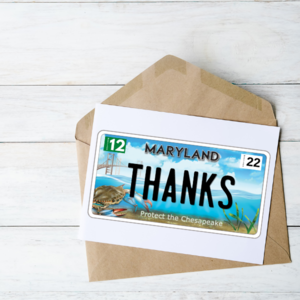 Thanks Bay Plate Greeting Cards Buy Cheap New