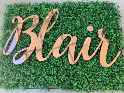 1 Layer Mirror Acrylic Logo or Word Signs Free Shipping Buy