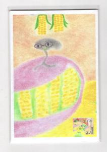 Zoom in postcard set - Turtle corn world Top Quality For Sale