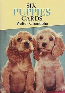 *Postcard Puppies-sd Cheap Sale Wholesale Pice