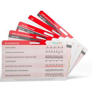 Cardiac BadgeGuru Set Clearance Big Discount