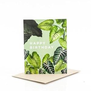 Alocasia Happy Birthday Card Looking For Online