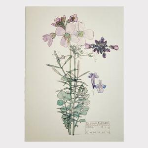 CRM Cuckoo Flower Card Newest Cheap Pice