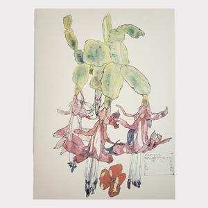 CRM Cactus Flower Card Free Shipping 2025 New