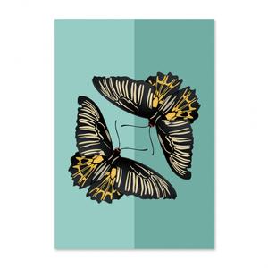 GREETING CARD: Butterflies Shop Offer Cheap Online