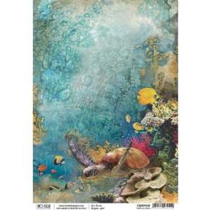 A4 Rice Paper - Turtle Cove Clearance Pre Order