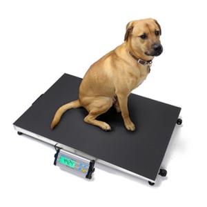 MCSM Adam Equipment Animal Scale Fast Delivery For Sale