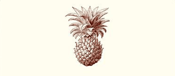 Alexa Pulitzer - Pineapple A2 Notes Buy Cheap Wholesale Pice
