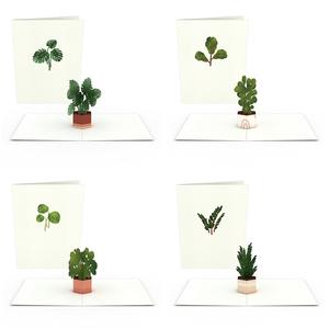 4er-Pack Pflanzen-Notizkarten 3D Pop-Up Kartenpaket Cheapest For Sale