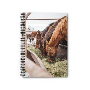 Colts Spiral Notebook - Ruled Line Clearance From China