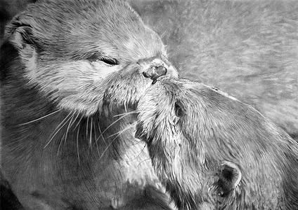 OTTERS KISSING Discount Latest
