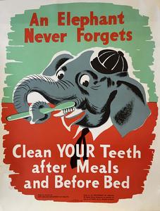 An Elephant Never Forgets Buy Cheap Outlet Locations