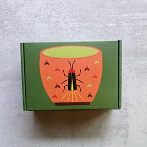 Countdown To Summer 2025 Box Discount Online Online