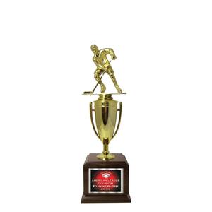 Achievement Trophies Many Kinds Of Sale Online