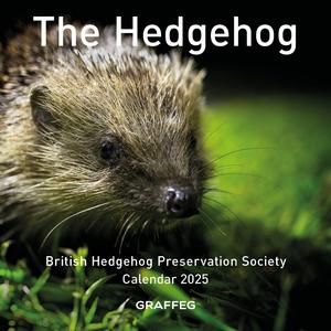 The Hedgehog Calendar 2025 Clearance Clearance Store