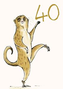 Age 40 Dancing Meerkat Card Outlet Where Can You Find