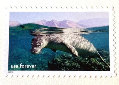 10 Seal Forever Stamps Unused Hawaiian Monk Seal Unused Postage Stamps for Mailing Inexpensive Sale Online