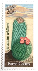 10 Barrel Cactus Postage Stamps // Unused Vintage Southwestern Desert Cactus Flower Stamps for Mailing Clearance With Mastercard