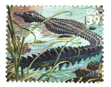 10 Alligator Stamps Unused Vintage Postage Stamps for Mailing Buy Cheap Huge Surprise