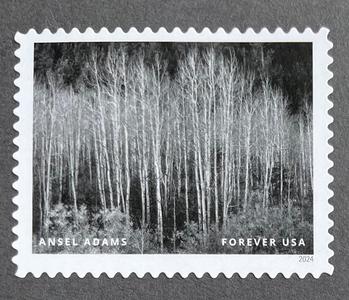 10 Aspen Forever Stamps Unused Black and White Forest Postage For Mailing Discount Fashion Style