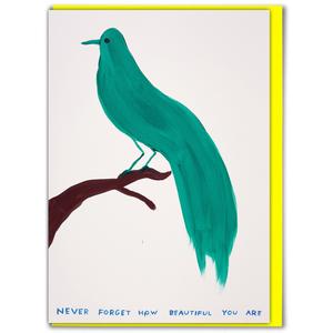 David Shrigley Card - Beautiful Visa Payment