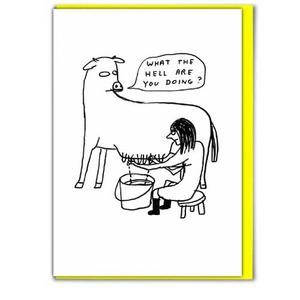David Shrigley Card - What the Hell Amazon Sale Online