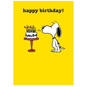 Birthday Card - Snoopy - Cake Low Pice Fee Shipping