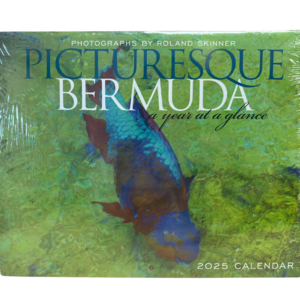 Picturesque Bermuda Calendar 2025 With Credit Card