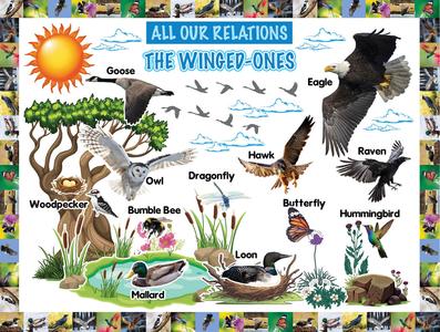 All Our Relations-The Winged-Ones Bulletin Board Set (ETA August 30) Best Place To Buy Online
