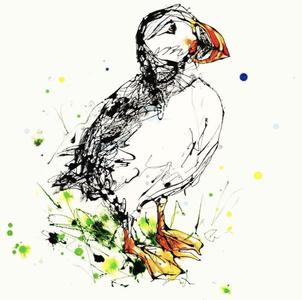 Atlantic Puffin - Square Edition From China