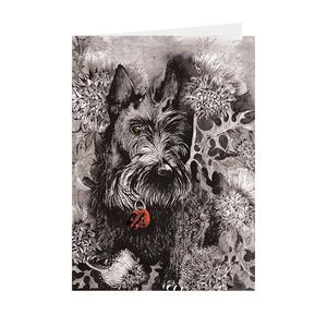 Dogs - Scotty - Greeting Card - V_117 Limited Edition Cheap Pice