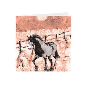 Horse - Piebald - Greeting Card - S_51 Cheap Sale Cost