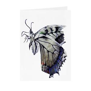 Butterfly - Greeting Card - V_47 Wiki Cheap Online