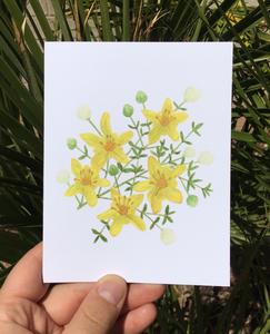 Creosote Bush Greeting Card Release Dates Cheap Online