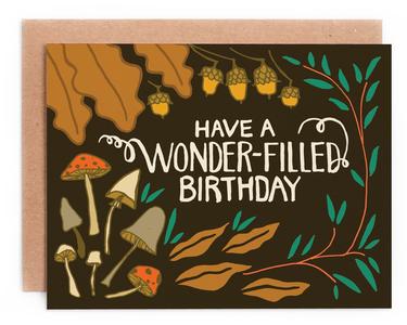 Have A Wonder-Filled Birthday Pices Cheap Online