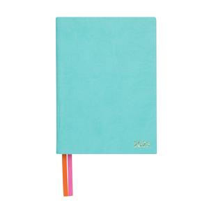 2025 Aquamarine Diary Visit New