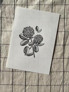 Clover Original Drawing - A5 Good Selling Sale Online