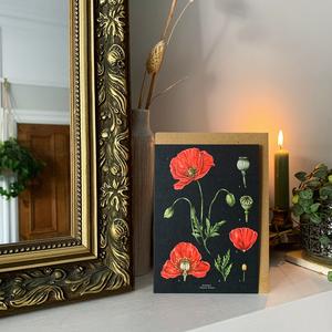 Botanical 'Poppy' Species Card Online Online Original