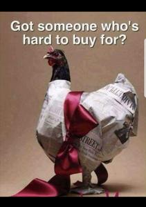 COUNTRY HAVEN FARM GIFT CERTIFICATES Sale Low Pice Fee Shipping