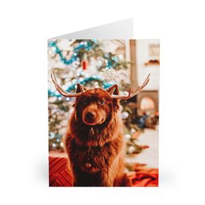 Reindeer Dog Holiday Cards (5 pcs) Cheap Geniue Stockist