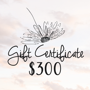 $300 Daydreams Esthetics Spa Gift Certificate Cheap Pice Wholesale Pice