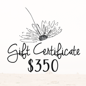 $350 Daydreams Esthetics Spa Gift Certificate Discount Original