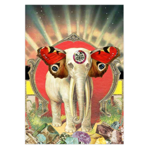 Magical Elephant Greeting Cards Set of 5 Clearance Official